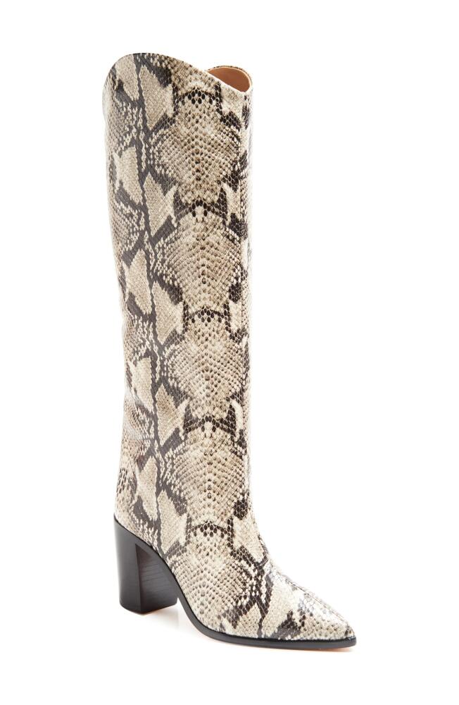 Schutz Maryana Pointed Toe Block Heel Knee High Boot in Natural Snake Print Cover