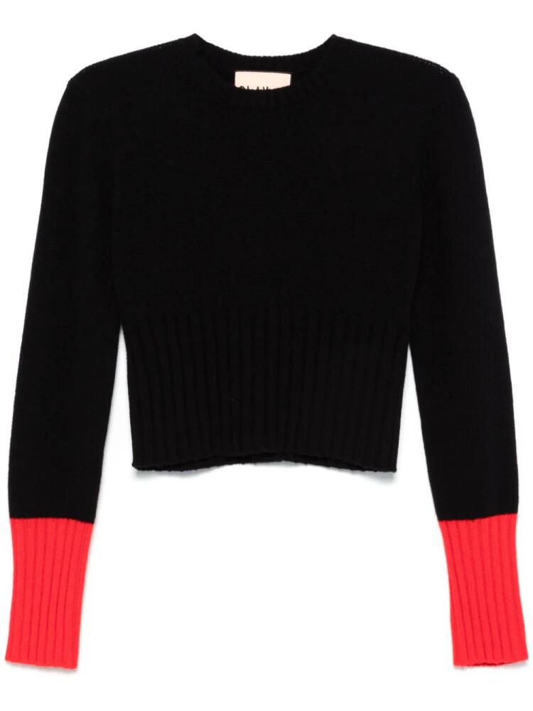 Plan C wool sweater - Black Cover