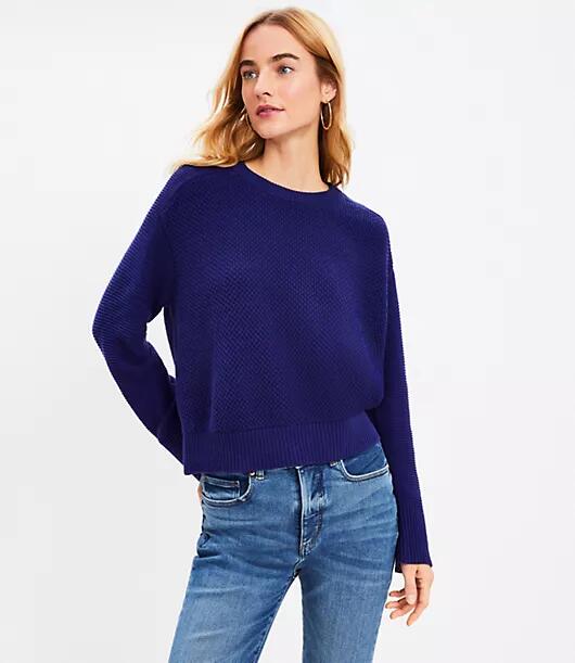 Loft Textured Saddle Sleeve Sweater Cover