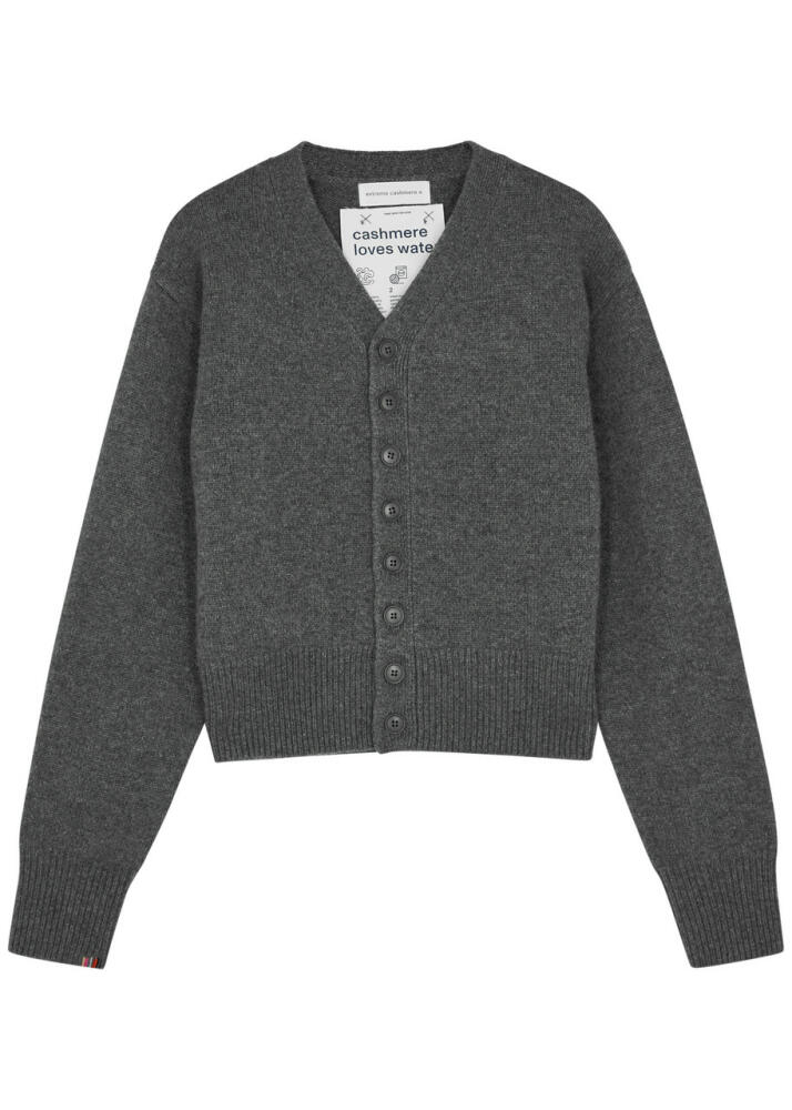 Extreme Cashmere N°309 Clover Cashmere Cardigan - Grey - Cover