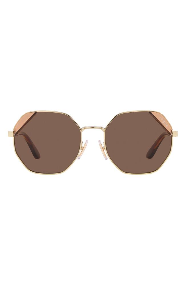 VOGUE 55mm Irregular Sunglasses in Pale Gold Cover