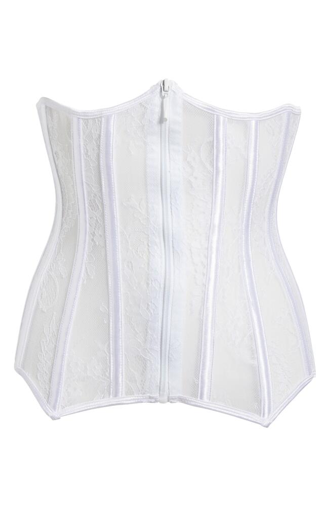 Coquette Lace Waist Cincher in White Cover