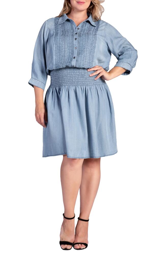 Standards & Practices Felis Smocked Shirtdress in Blush Indigo Cover