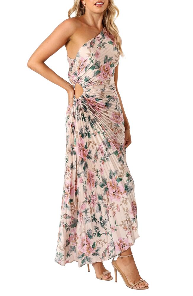 Petal & Pup Kleo Floral Print Asymmetric Cocktail Dress in Pink Floral Cover