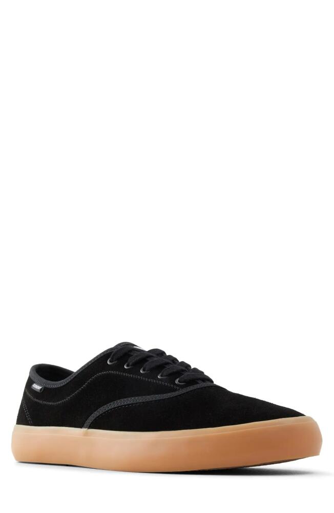 Element Passiph Leather Sneaker in Black Cover