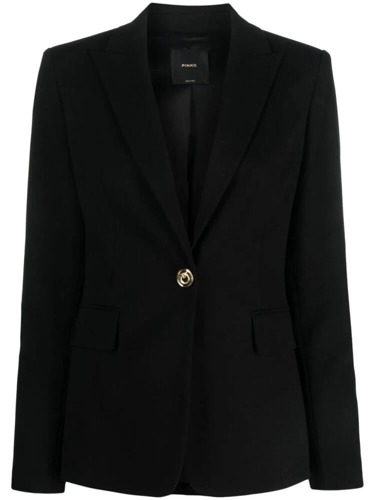 PINKO single-breasted button blazer - Black Cover