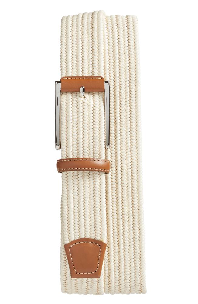 Torino Woven Belt in Cream Cover