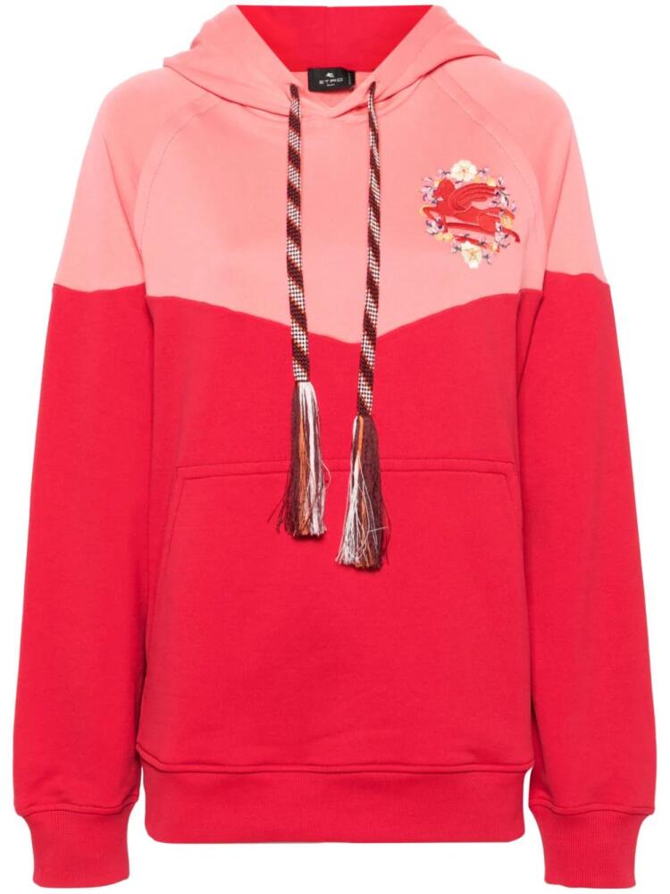 ETRO logo-embroidered cotton hoodie - Pink Cover