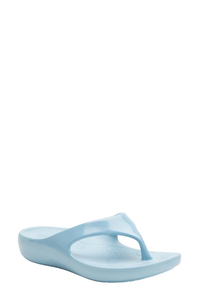 Alegria by PG Lite Ode Flip Flop in Dusty Blue Gloss Cover