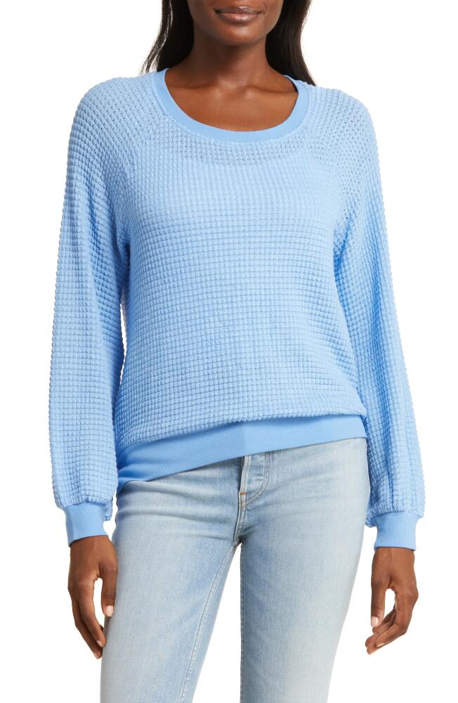 GIBSONLOOK Sunset Long Sleeve Open Knit Top in Cornflower Blue Cover