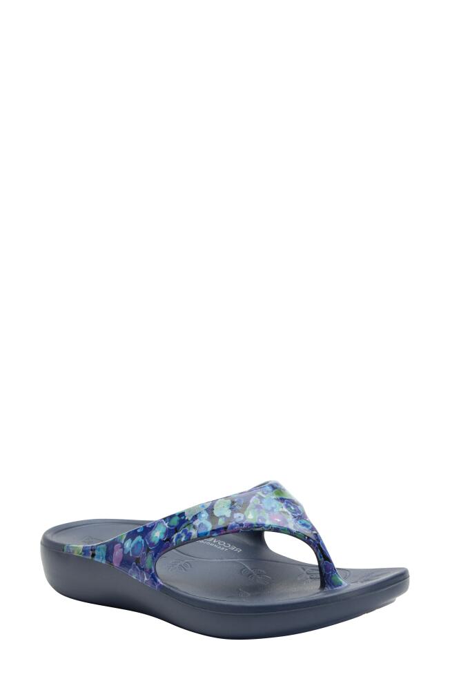 Alegria by PG Lite Ode Flip Flop in Poppy Pop Blue Cover