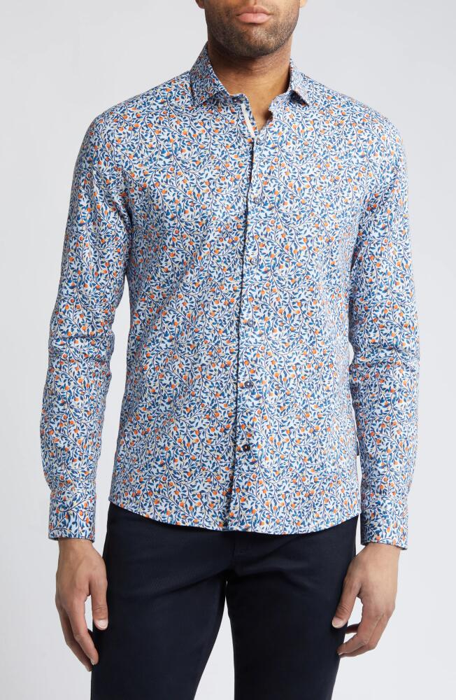 Stone Rose Orange Tree Print Stretch Button-Up Shirt in Light Blue Cover