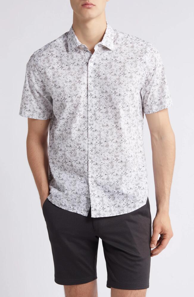 Robert Barakett Segno Short Sleeve Button-Up Shirt in White Cover