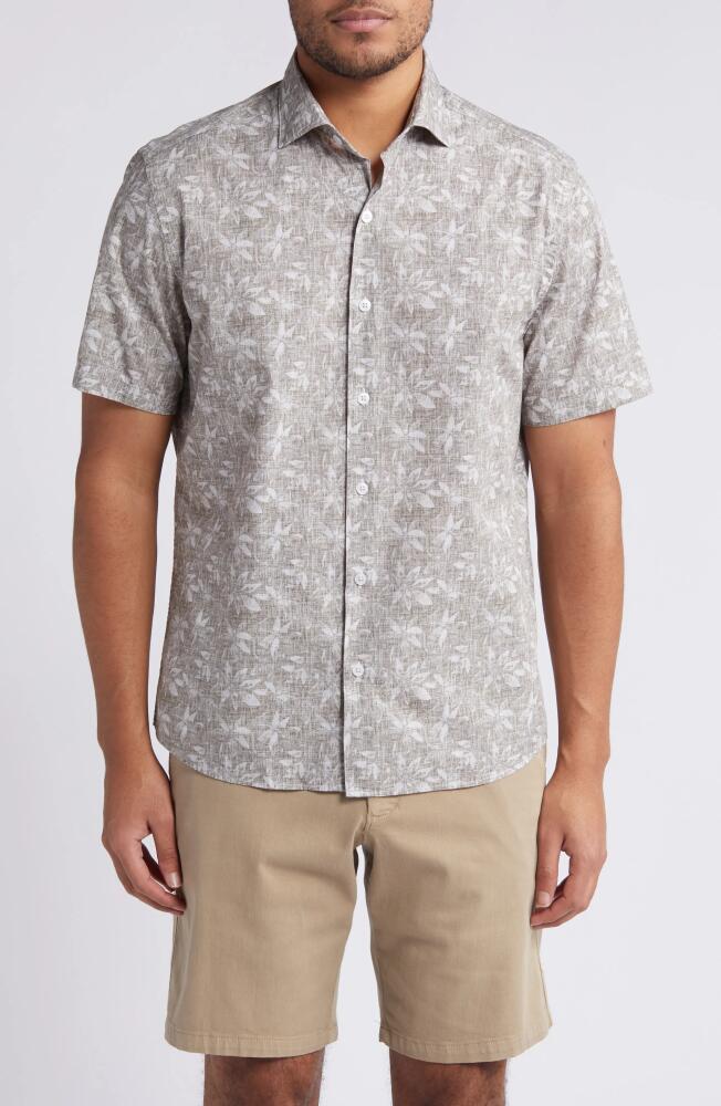 Robert Barakett Crescendo Floral Print Short Sleeve Cotton Poplin Button-Down Shirt in Olive Cover