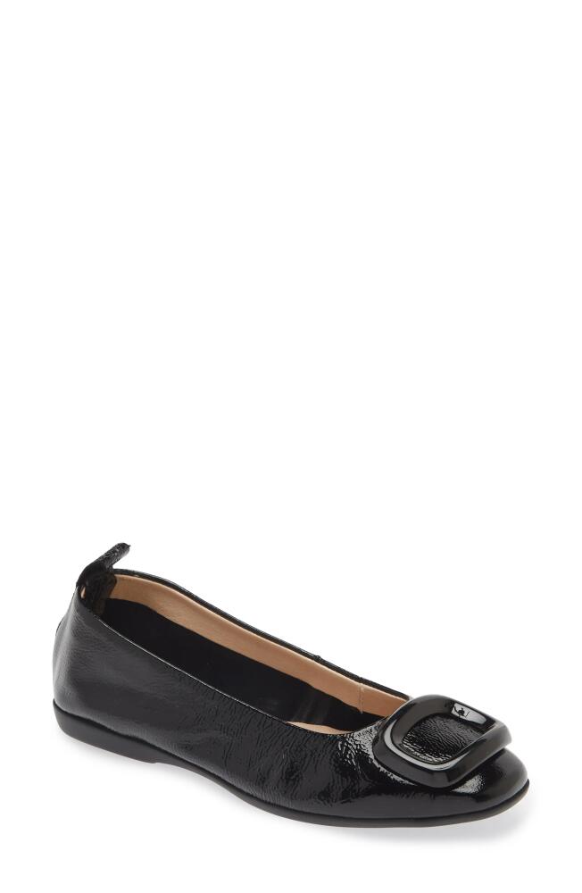 Wonders Ballet Flat in Lack Black Cover