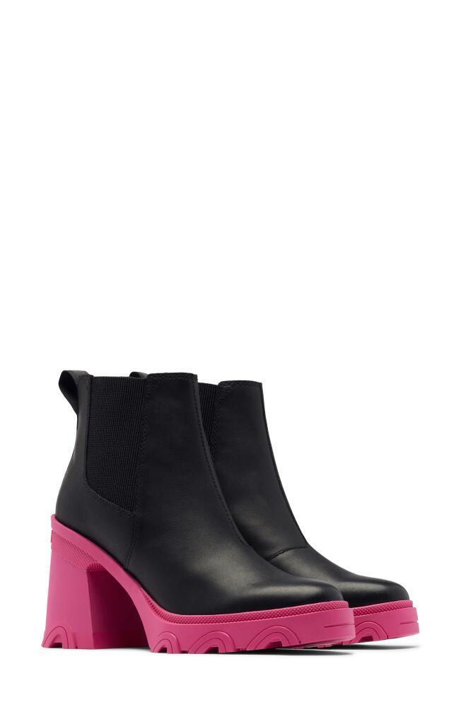 SOREL Brex Waterproof Platform Block Heel Chelsea Boot in Black Cactus Pink Cover