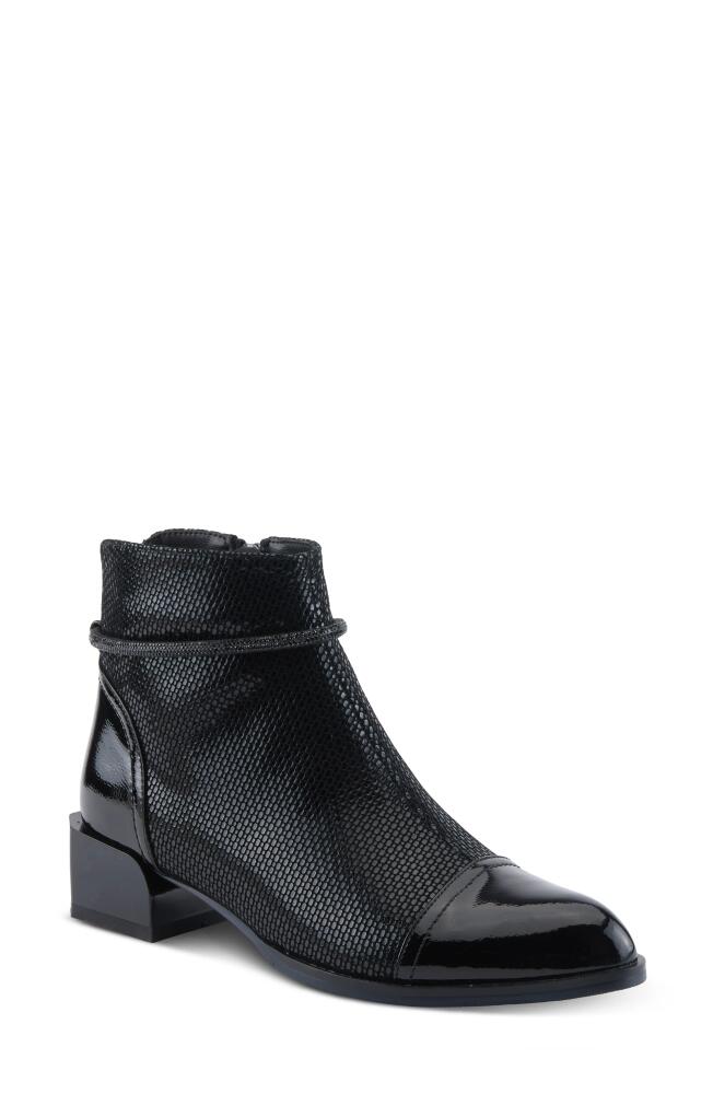 AZURA BY SPRING STEP Shelbi Cap Toe Bootie in Black Patent Cover