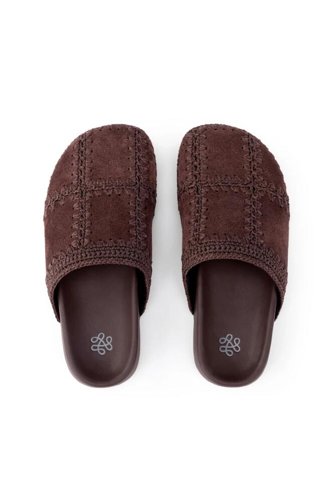 The Sak Bolinas Clog in Mahogany Suede Patch Cover