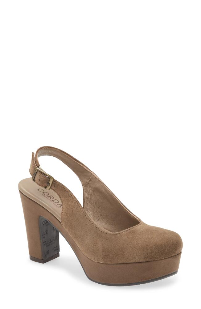 Cordani Torrie Platform Slingback Pump in Fango Suede Cover