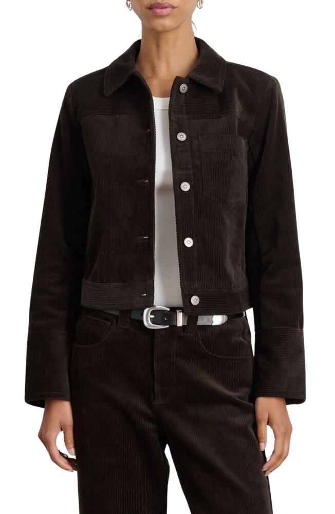 Alex Mill Betty Cotton Corduroy Crop Jacket in Chocolate Cover