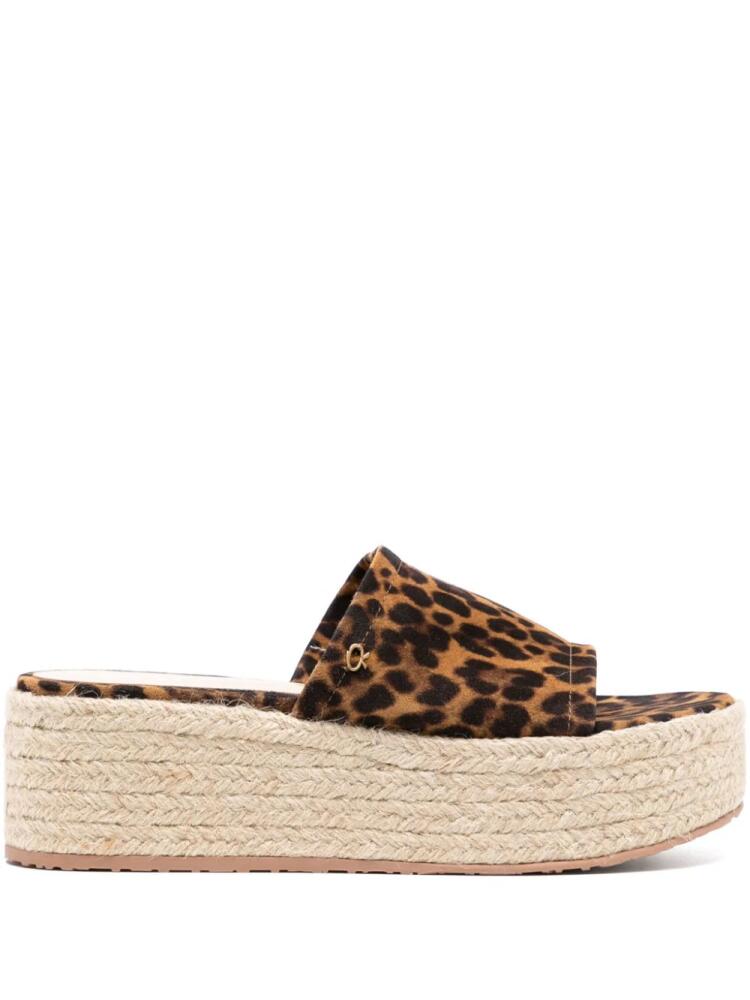 Gianvito Rossi leopard platform espadrilles - Brown Cover