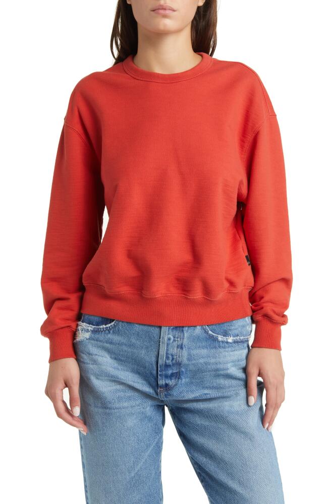 AG Nova Cotton Sweatshirt in Sunburst Cover