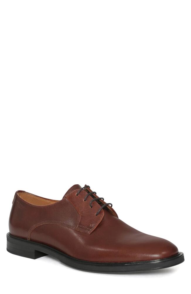 Vagabond Shoemakers Andrew Derby in Chestnut Cover