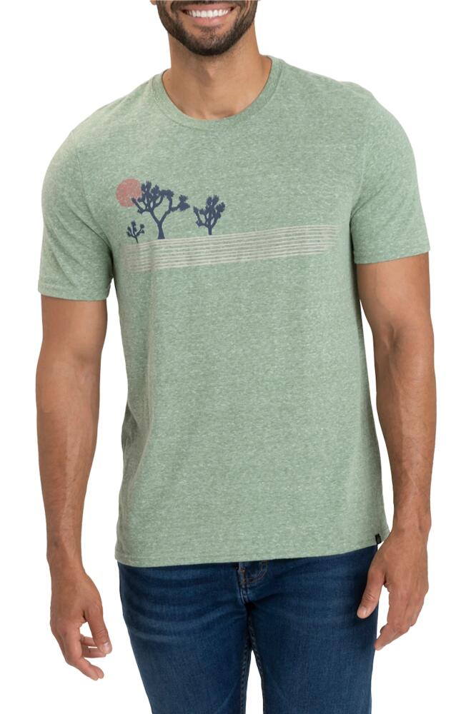 Threads 4 Thought Yucca Basin Triblend Graphic T-Shirt in Cactus Cover