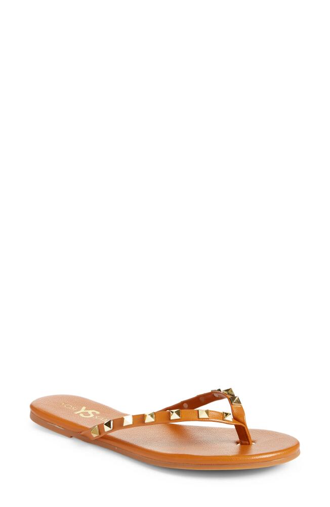 Yosi Samra Rivington Stud Flip Flop in Cognac Cover