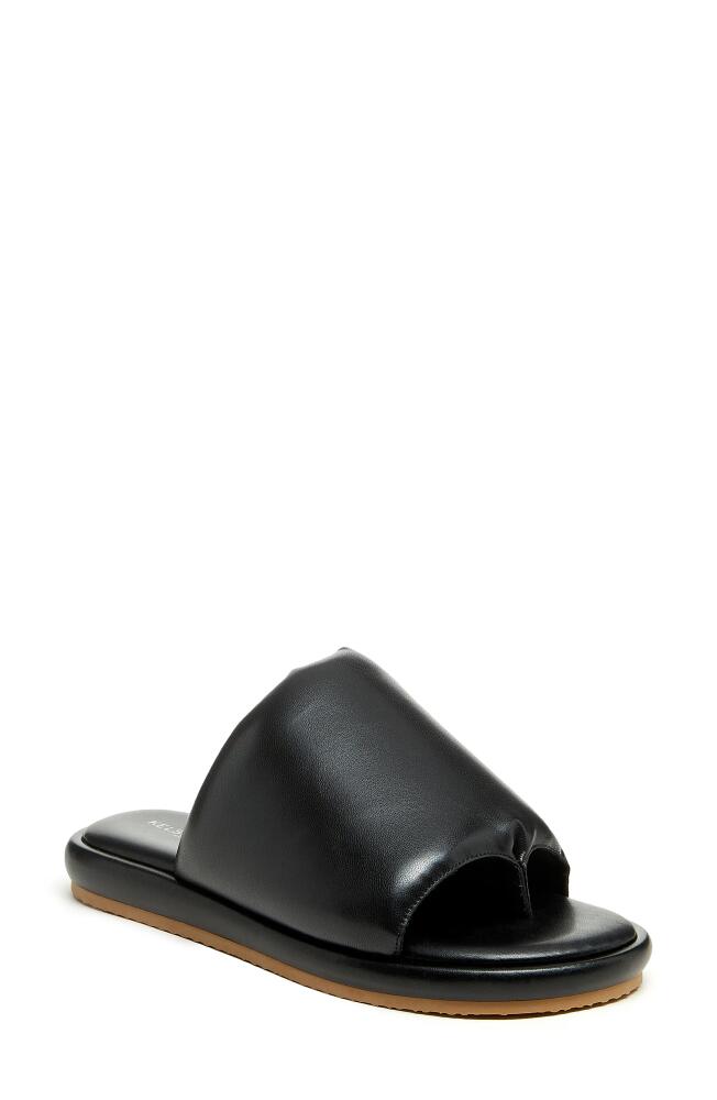 Kelsi Dagger Brooklyn Traveler Slide Sandal in Black Cover