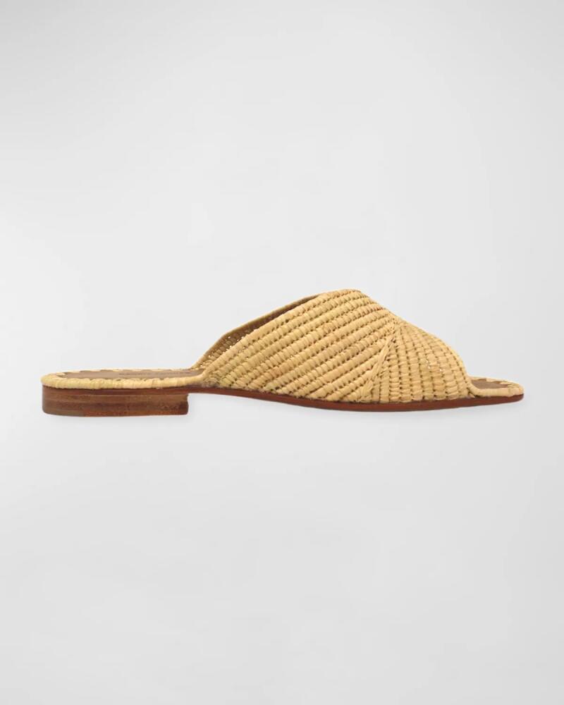 Carrie Forbes Woven Raffia Flat Slide Sandals Cover