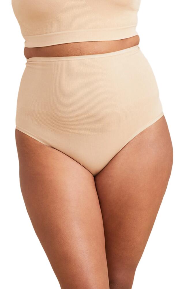 HATCH The Seamless Maternity/Postparum Belly Briefs in Sand Cover