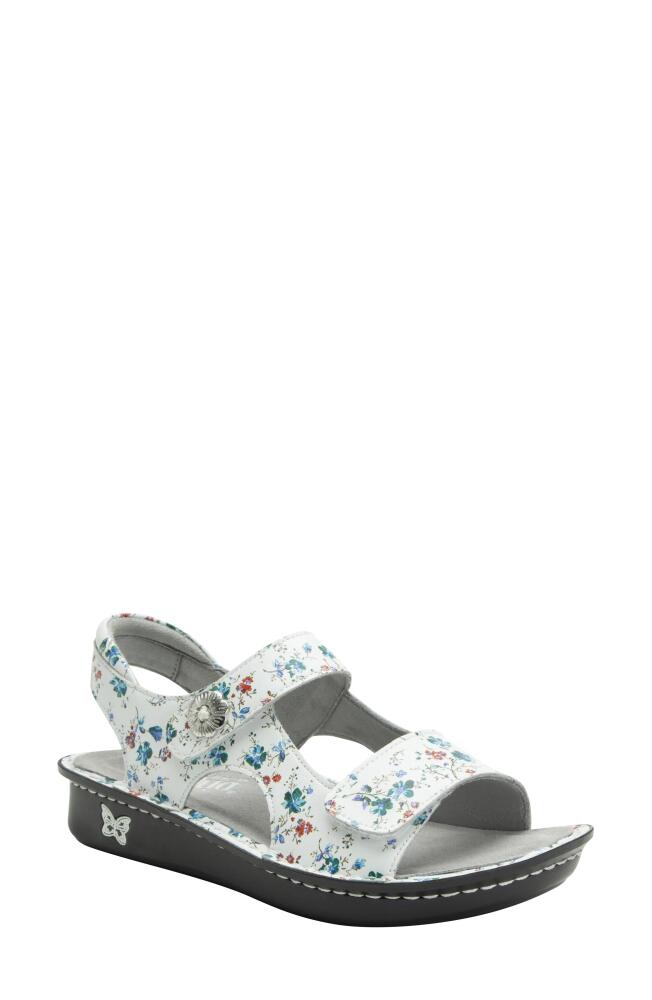 Alegria by PG Lite Vallie Wedge Sandal in Keep Calm Cover