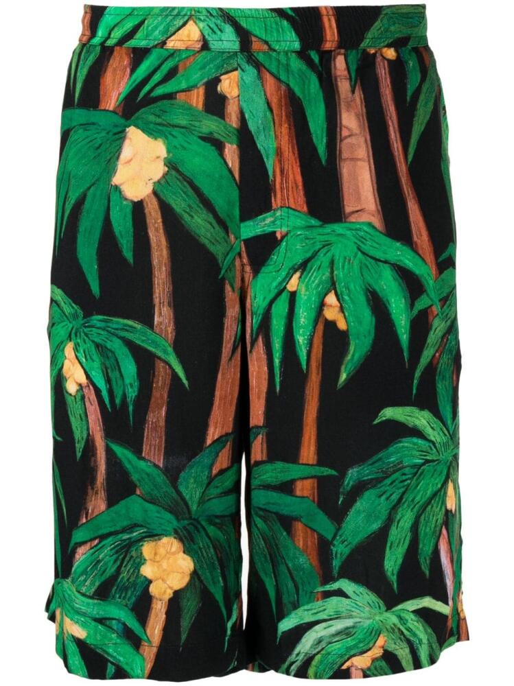 Endless Joy palm tree-print bermuda shorts - Black Cover