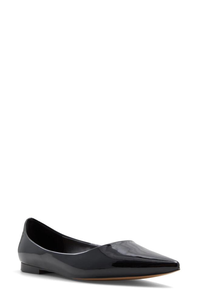 ALDO Stessy Pointed Toe Flat in Black Cover