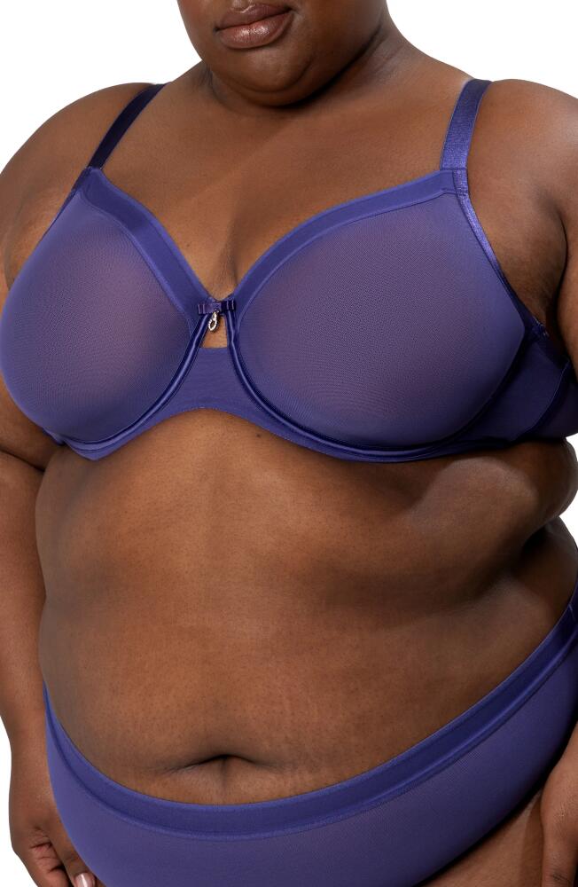 Curvy Couture Full Figure Mesh Underwire Bra in Vintage Blue Cover