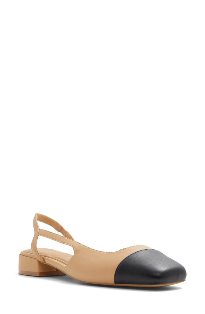 ALDO Amandine Slingback Flat in Other Dark Beige Cover