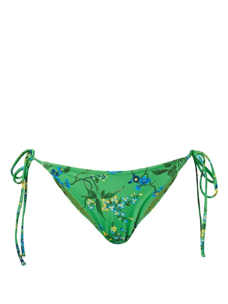 ERDEM floral-print bikini bottoms - Green Cover