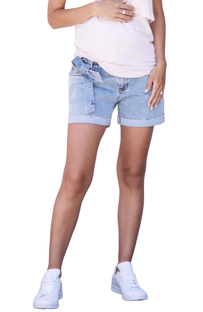 Angel Maternity Maternity Denim Shorts in Blue Denim Cover