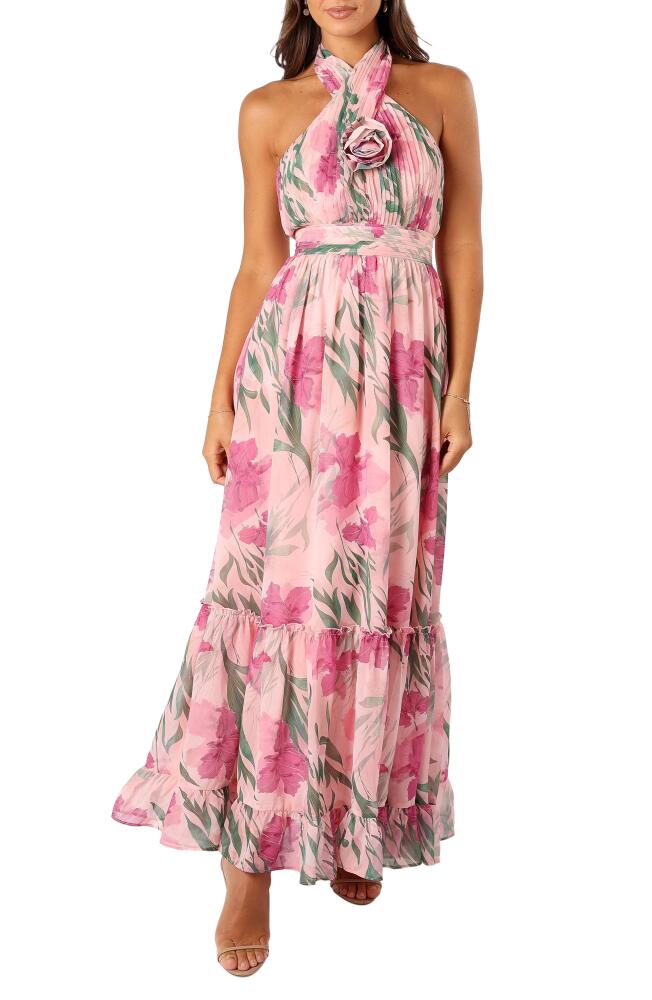 Petal & Pup Lennon Floral Halter Gown in Pink Floral Cover