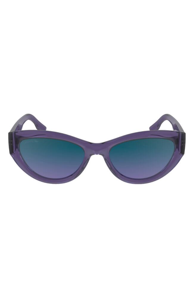 Lacoste Sport 54mm Cat Eye Sunglasses in Transparent Purple Cover