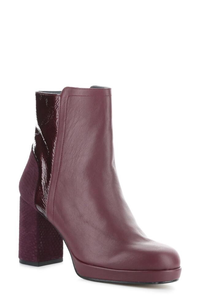 Fly London Efan Bootie in Burgundy Dublin Cover