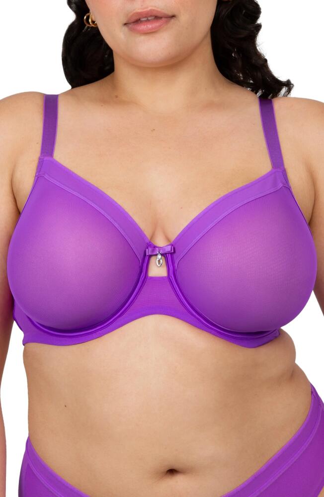 Curvy Couture Full Figure Mesh Underwire Bra in Purple Passion Cover