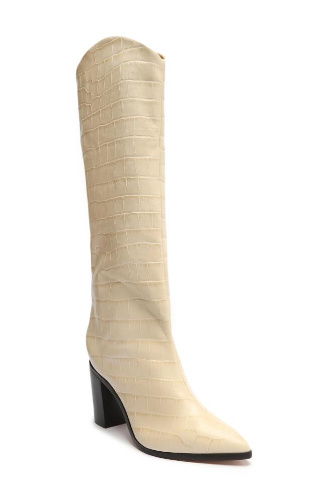 Schutz Maryana Pointed Toe Block Heel Knee High Boot in Egg Shell Cover