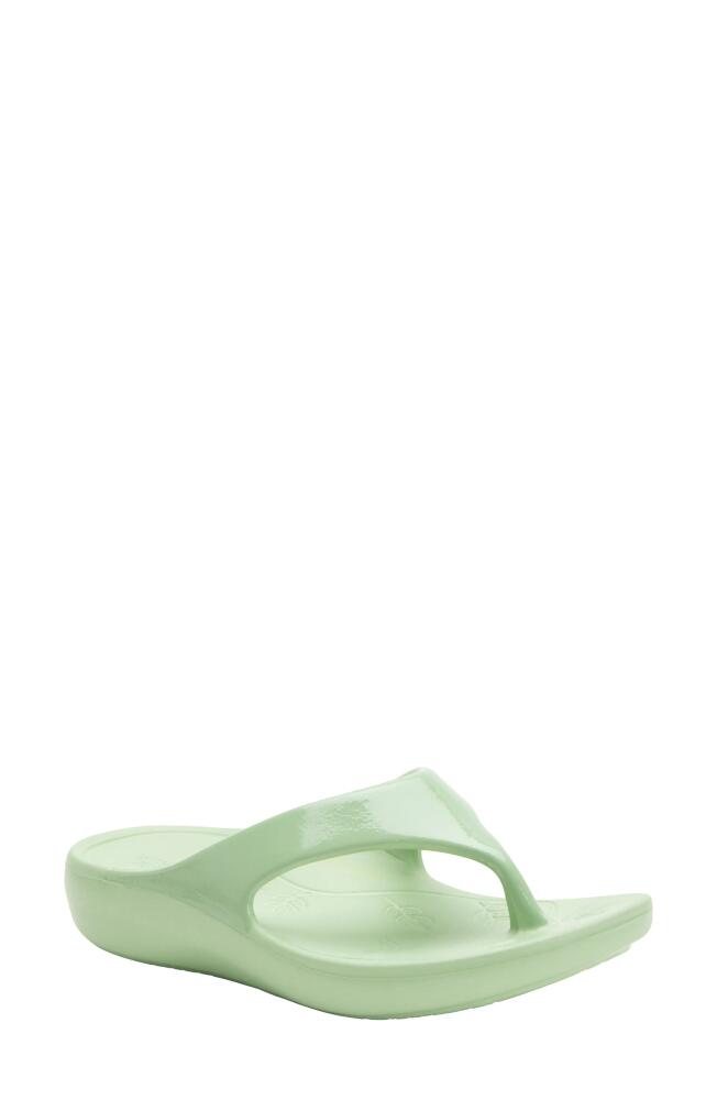 Alegria by PG Lite Ode Flip Flop in Mint Gloss Cover