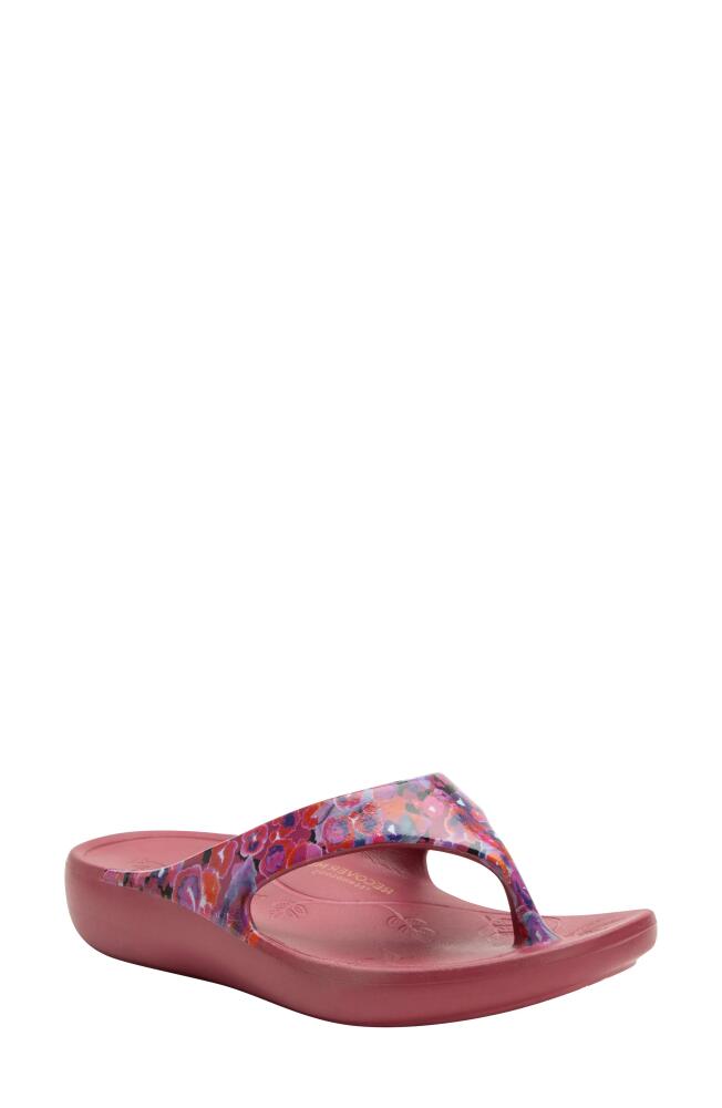 Alegria by PG Lite Ode Flip Flop in Poppy Pop Cover