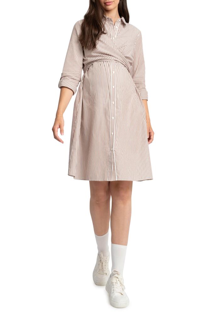 Seraphine Stripe Long Sleeve Maternity/Nursing Shirtdress in Beige Cover