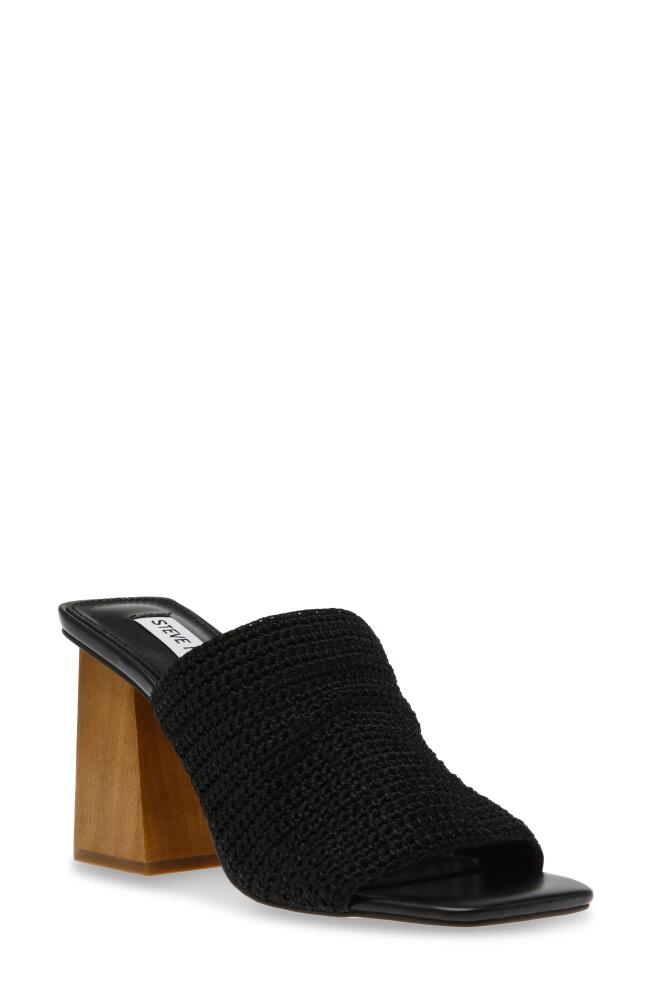 Steve Madden Realize Slide Sandal in Black Cover