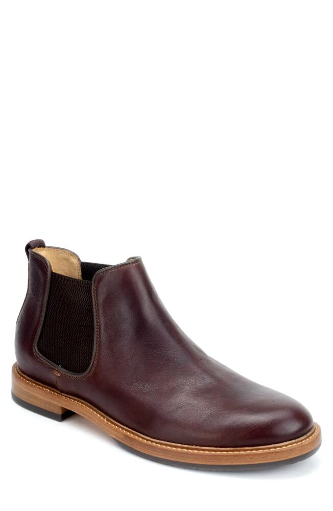 Warfield & Grand Davis Chelsea Boot in Brown Cover