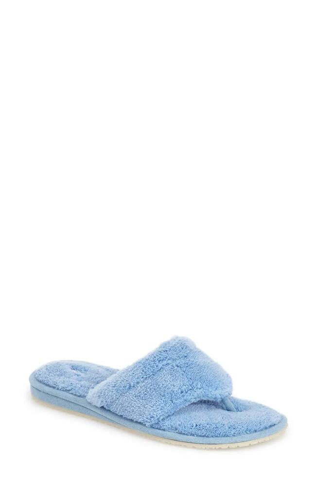 patricia green 'Splash' Slipper in Blue Cover